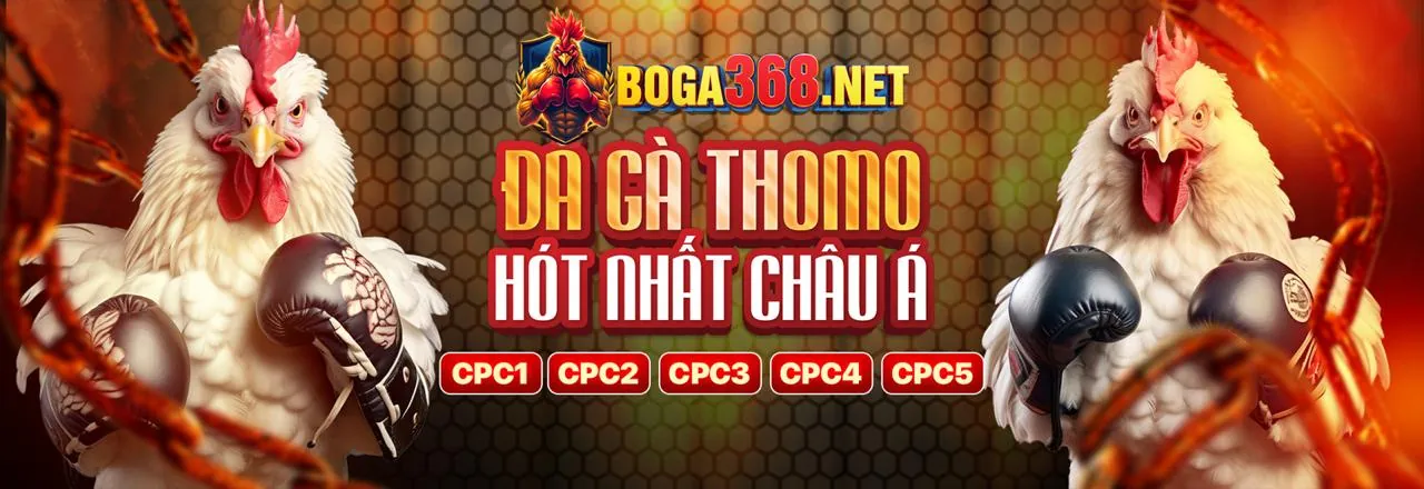 Minh họa cookie là gì và cách chúng hoạt động